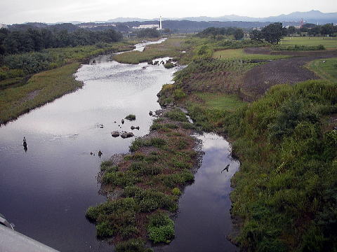 釣る 多摩川漁協昭島支部便り